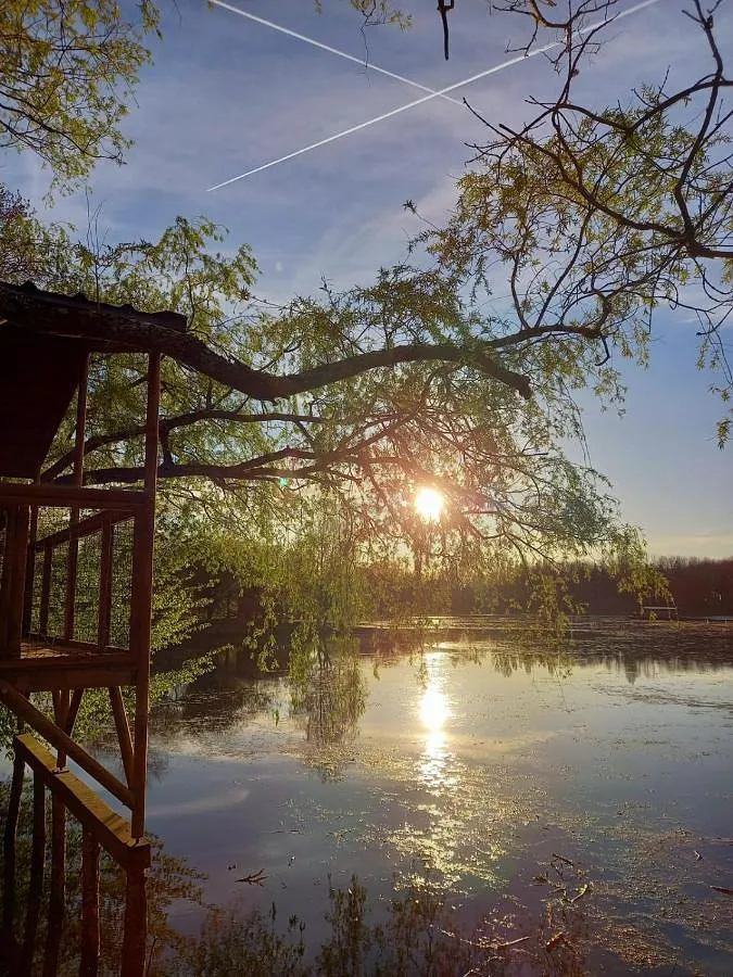 Chalet für 2 Personen, mit Ausblick und Garten sowie Pool und Seeblick, mit Haustier - 1