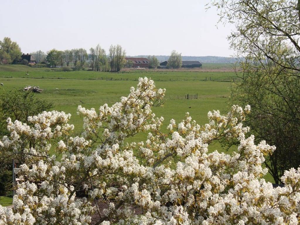Apartamento vacacional de 1 dormitorio. in Schwabstedt, Eider-Treene-Sorge
