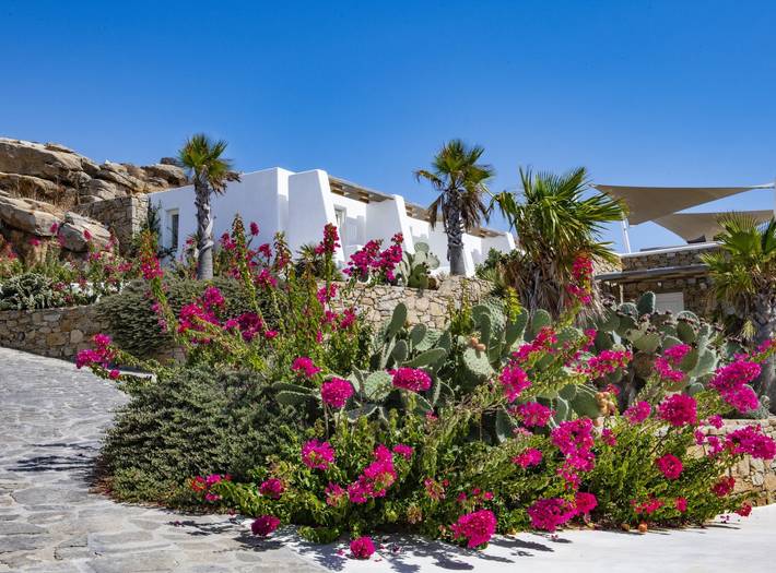Villa für 4 Personen, mit Terrasse auf Mykonos - 4