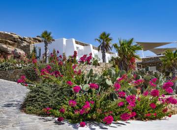 Holiday Rental for 4 People in Mykonos, Cyclades, Photo 3