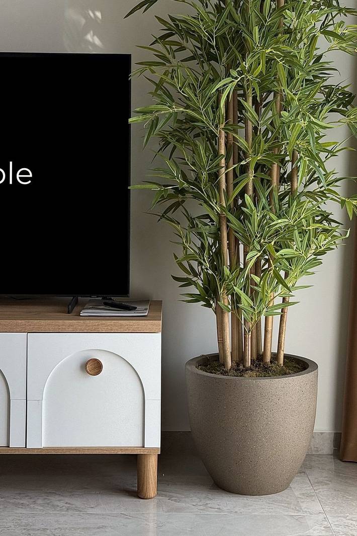 Gîte pour 4 personnes à Alanya - 3