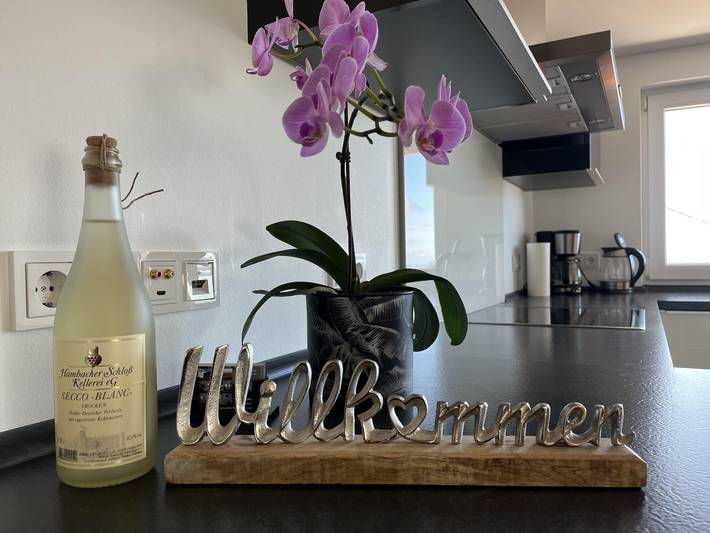 Ferienwohnung für 3 Personen, mit Balkon in Hambach (Neustadt) - 2