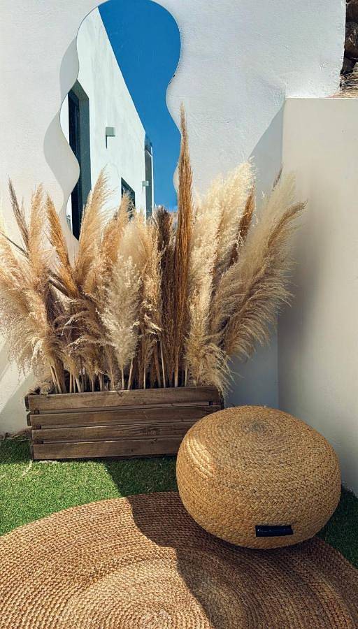 Gîte pour 6 personnes, avec vue et jardin, animaux acceptés dans Sérifos - 3