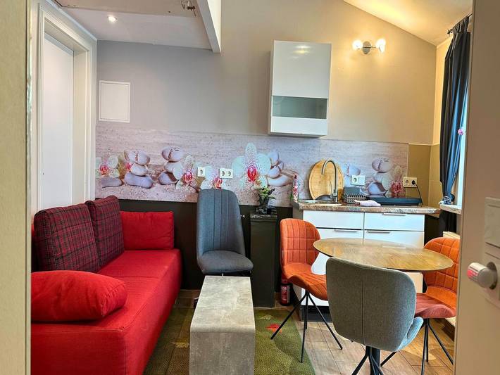 Gîte pour 2 personnes, avec terrasse, animaux acceptés à Trèves - 4