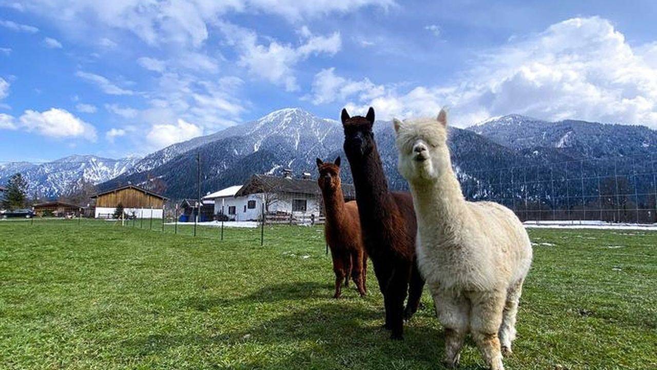 Doppelzimmer für 2 Personen (18 m²) in Oberhof in Kreuth, Bavarian Alps