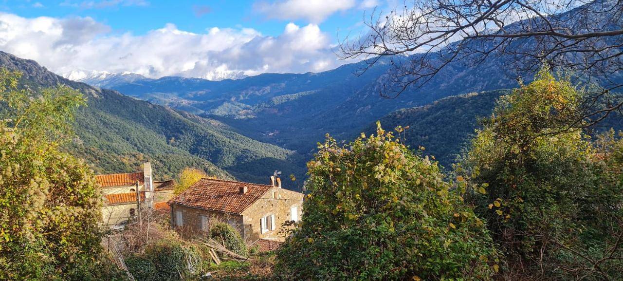 Six-Bedroom House in Letia, Parc naturel régional de Corse