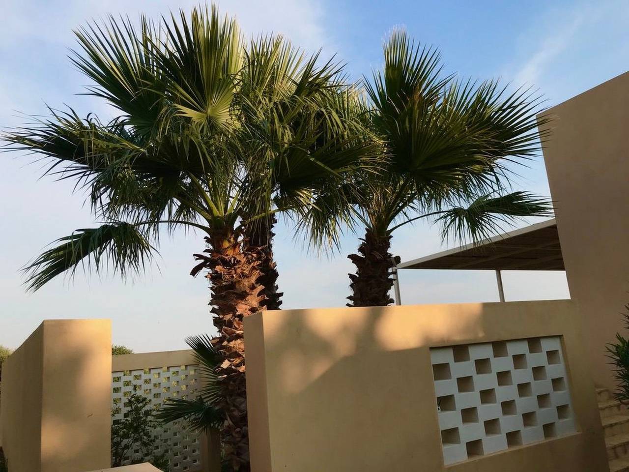 Entire apartment, Haus der Palme in Menfi in Menfi, Agrigento Province