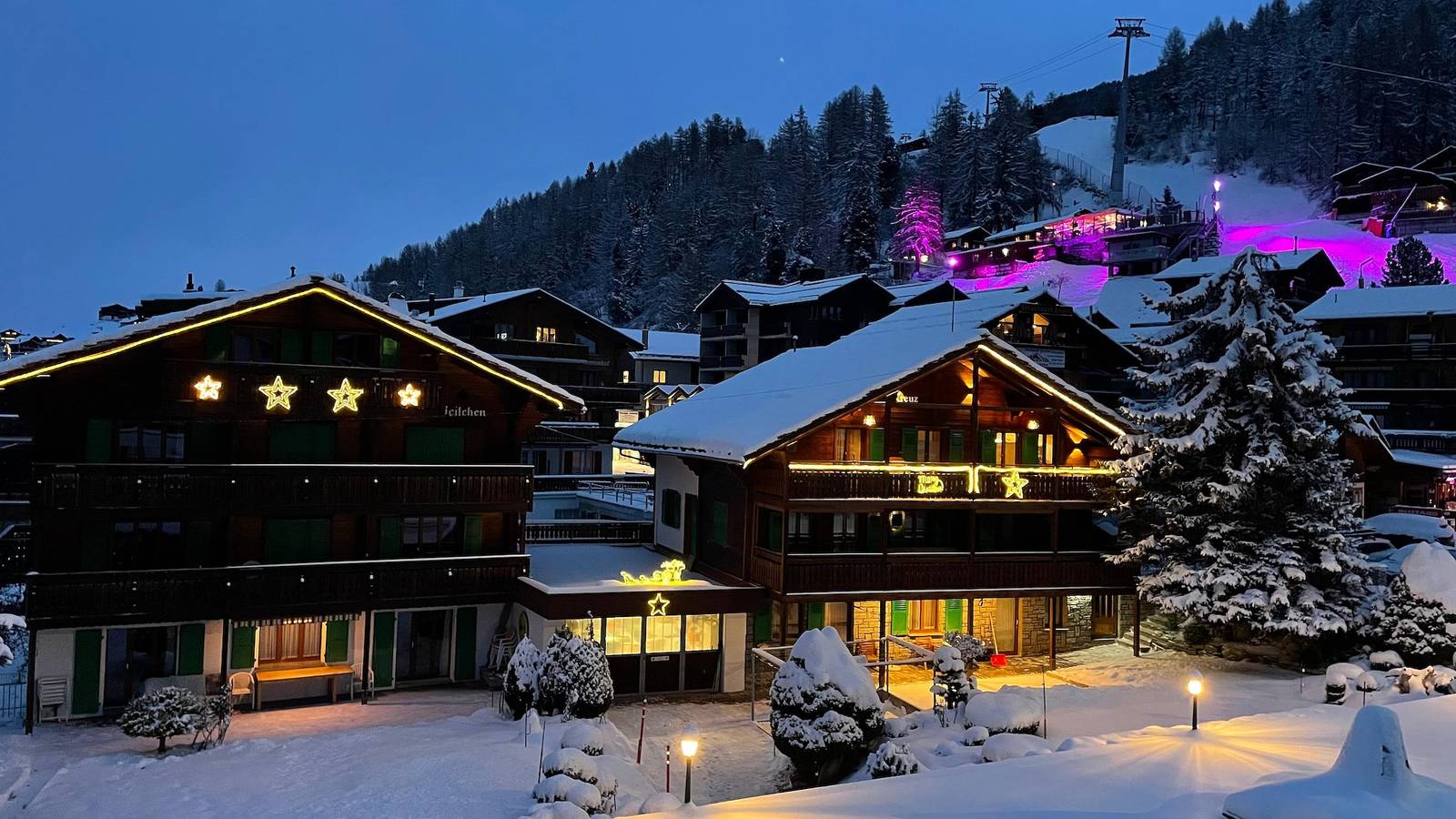 Ganze Ferienwohnung, Veilchen - 4-Bettwohnung 1441 in Grächen, Walliser Alpen