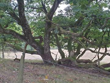 Ferienhaus für 6 Personen in Silkeborg, Bild 2