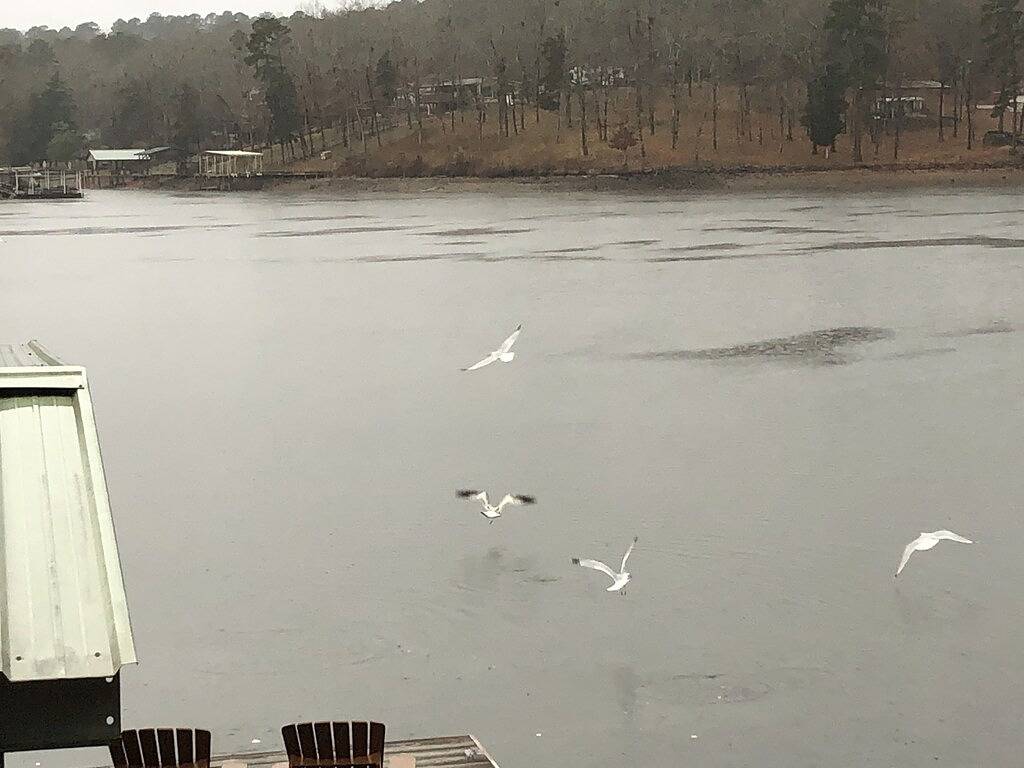 Kleiner A-Rahmen, große Veranda, Lake Hamilton in Ouachita National Forest