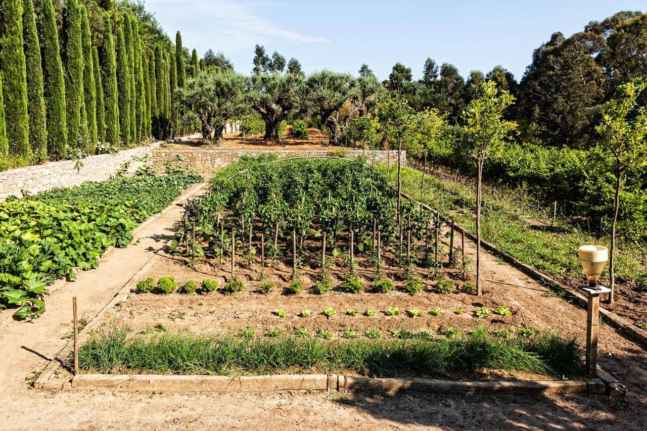 Domaine Les Mésanges in Gassin, Côte méditerranéenne (France)