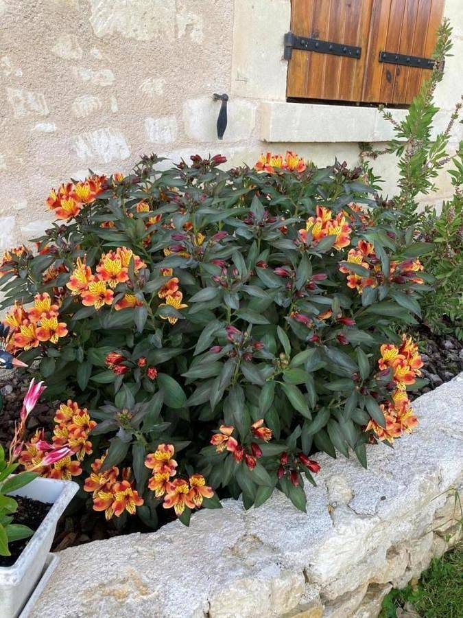 Location de vacances pour 6 personnes, avec jardin ainsi que piscine et jacuzzi à Bournand