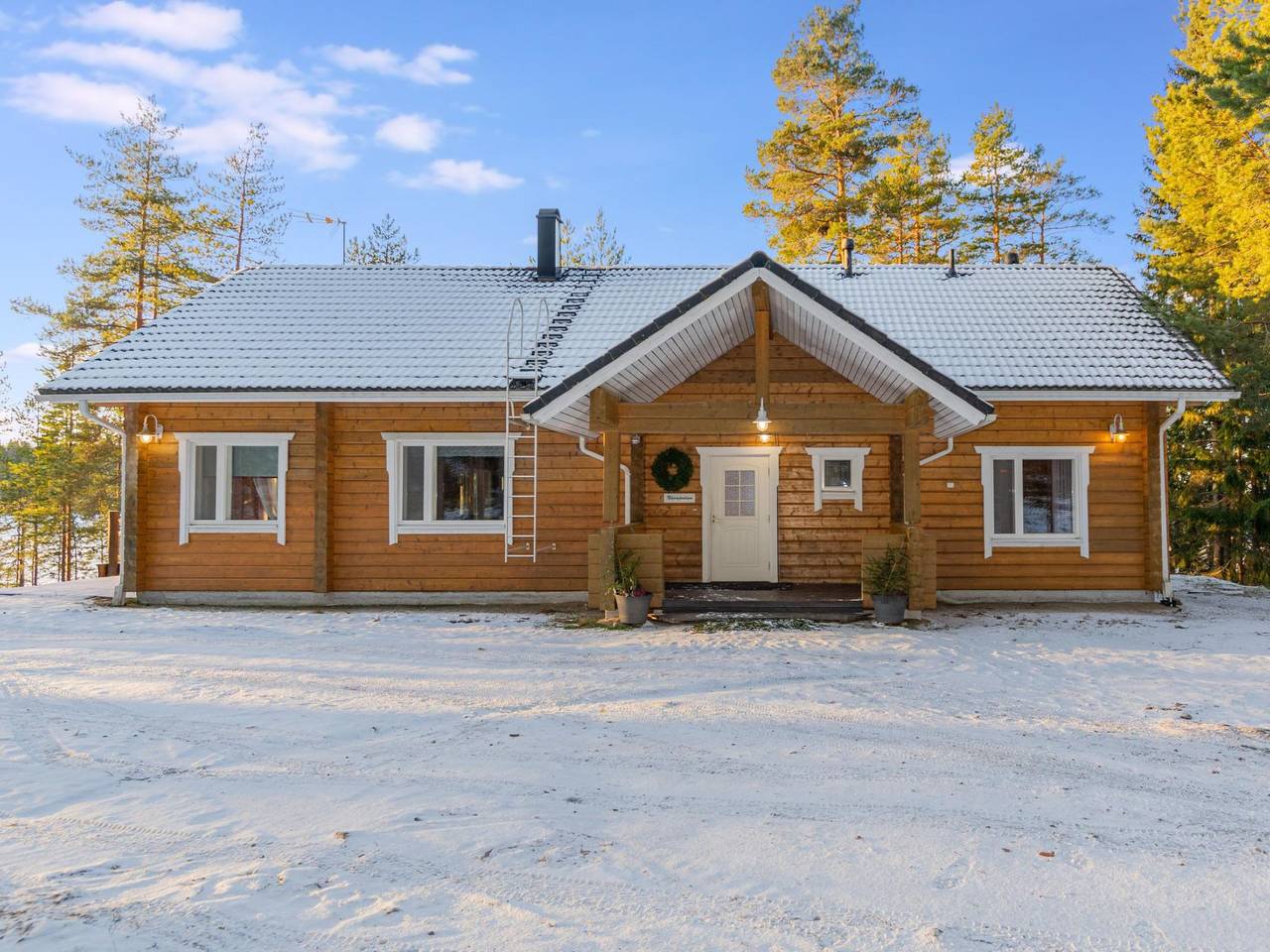 Näsinjoutsen in Pirkanmaa