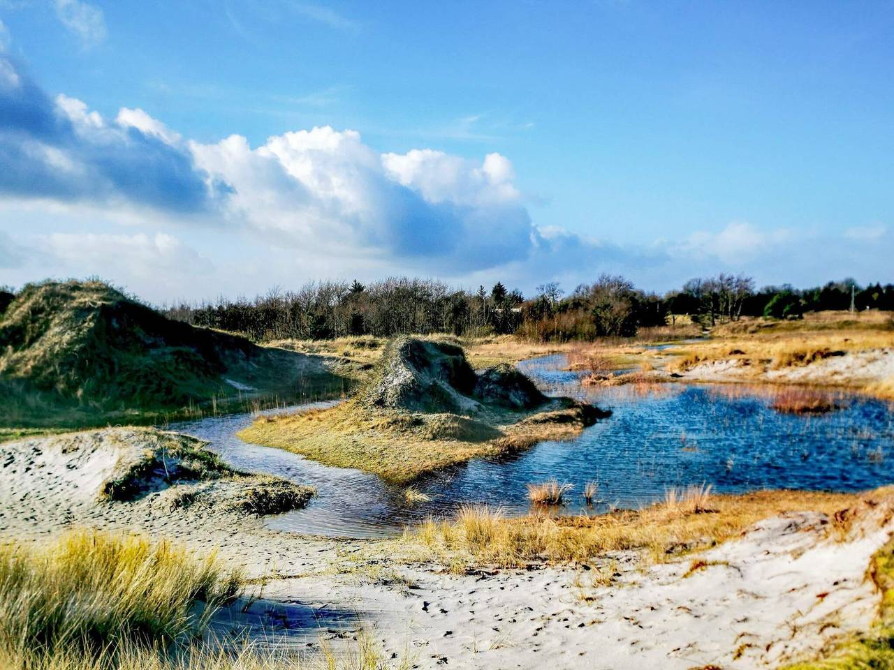 Wildtierparadies in der Nahe von Bisnap -- By Traum Ferienwohnungen in Hou, Aalborg und Umgebung