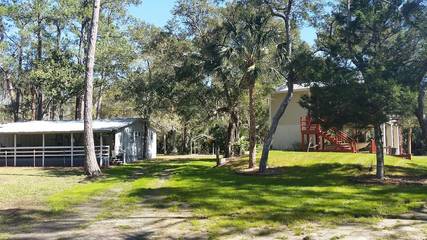 Camping for 8 Guests in Steinhatchee, Taylor County, Picture 4