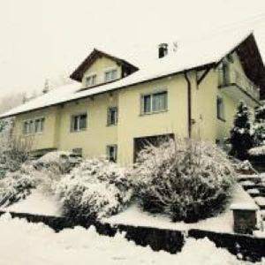 Gîte pour 4 personnes, avec terrasse dans Wutoschingen - 2