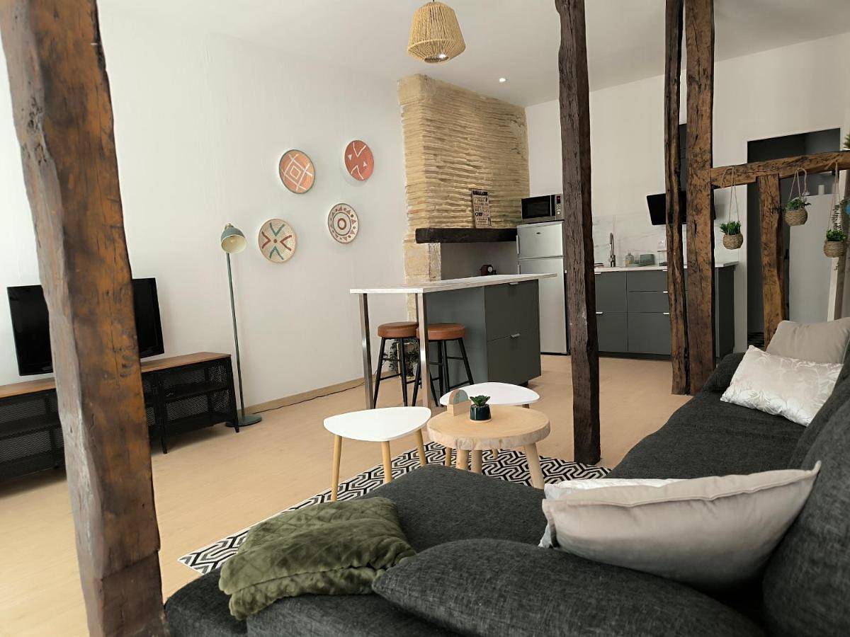 Appartement entier, One-Bedroom Apartment in Auch, Gers
