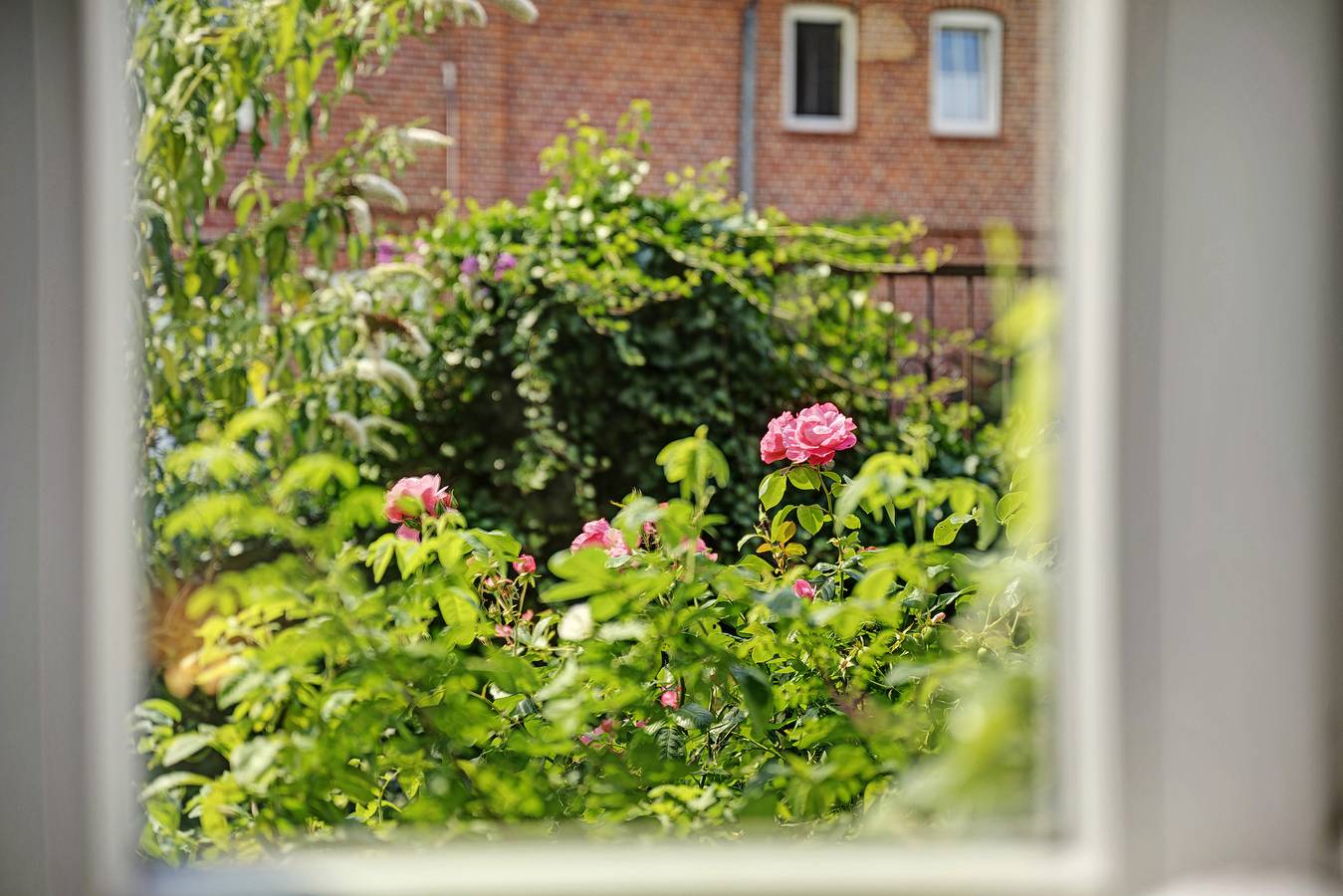Room 'Grünes Zimmer' with Shared Garden and Wi-Fi in Schlagsdorf, North-West Mecklenburg (Wismar region)