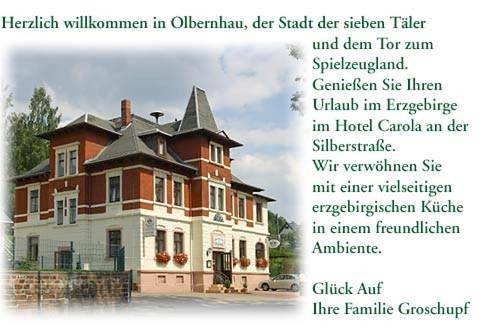 Hotel, mit Terrasse und Garten sowie Ausblick in Olbernhau - 2