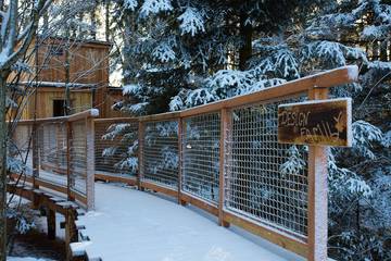 Cabane En Bois pour 6 Personnes dans Fournet-Blancheroche, Doubs, Photo 4