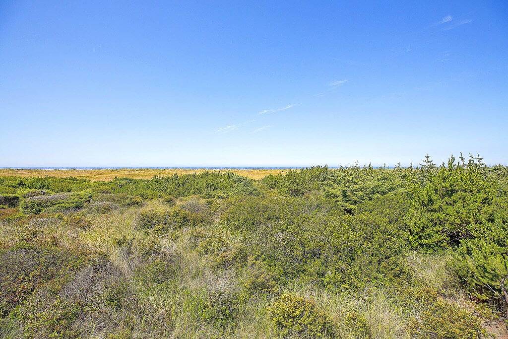 Haven Hideaway - Zuhause mit allen Ansichten, die Copalis zu bieten hat! in Copalis Beach, Grays Harbor County