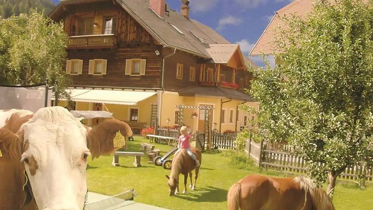 Ganze Ferienwohnung, Ferienwohnung für 4 Personen (60 m²) in Mauterndorf in Mauterndorf, Bundesland Salzburg