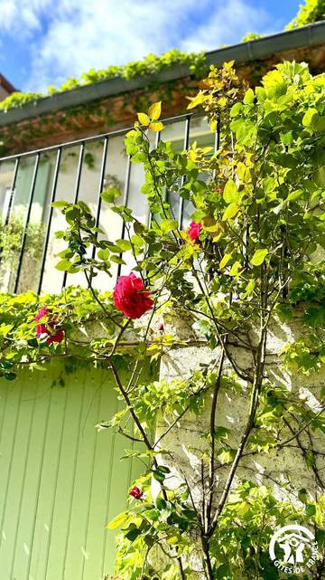Gîte pour 4 Personnes dans Sallèles-d'Aude, Région de Narbonne, Photo 2