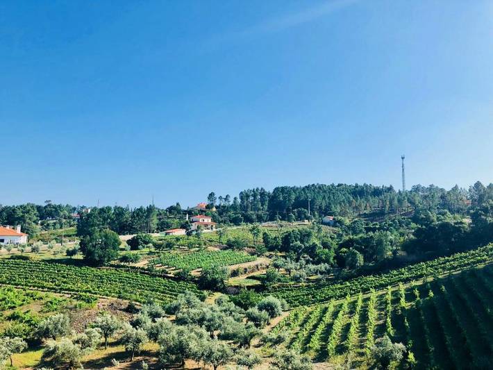 Gîte pour 3 personnes, avec balcon et vue à Proença-a-Nova - 2