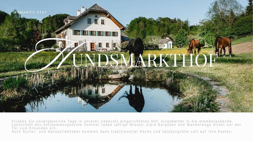 Ferienwohnung für 6 Personen, mit Terrasse und Sauna sowie Ausblick in Thalgau