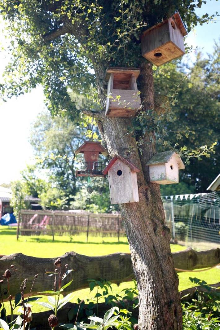 Location de vacances pour 9 personnes, avec jardin ainsi que vue et sauna à Burg-Reuland - 3