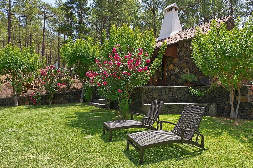 Idyllic volcanic stone chalet in a pine grove on the edge of the national park in El Paso (La Palma), La Palma South