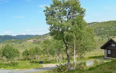 Feriehus til 14 Personer i Møsvatn, Vestfold og Telemark, Bilde 4