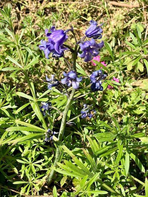 Location de vacances pour 2 personnes dans Torigny-les-Villes - 3