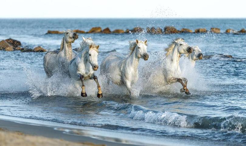 Maison d’hôte pour 13 personnes, avec jardin et vue à Arles - 3