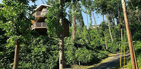 Glamping for 6 Guests in Gatlinburg, Great Smoky Mountains National Park, Picture 1