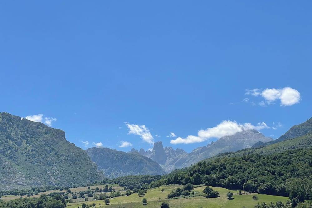 La Casina del Arroyo, rural cottage for 2-4 people in Poo de Cabrales in Cabrales, Picos de Europa National Park