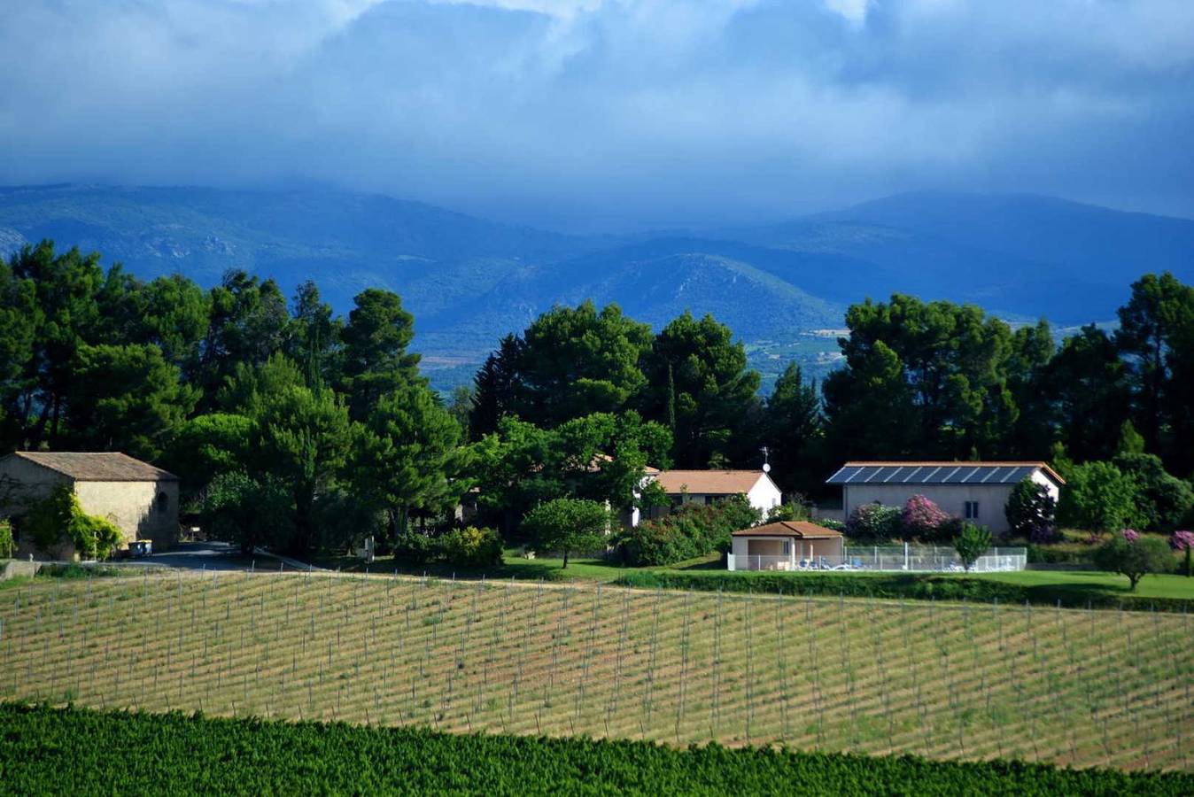 Le Marronnier in Puichéric, Région de Carcassonne
