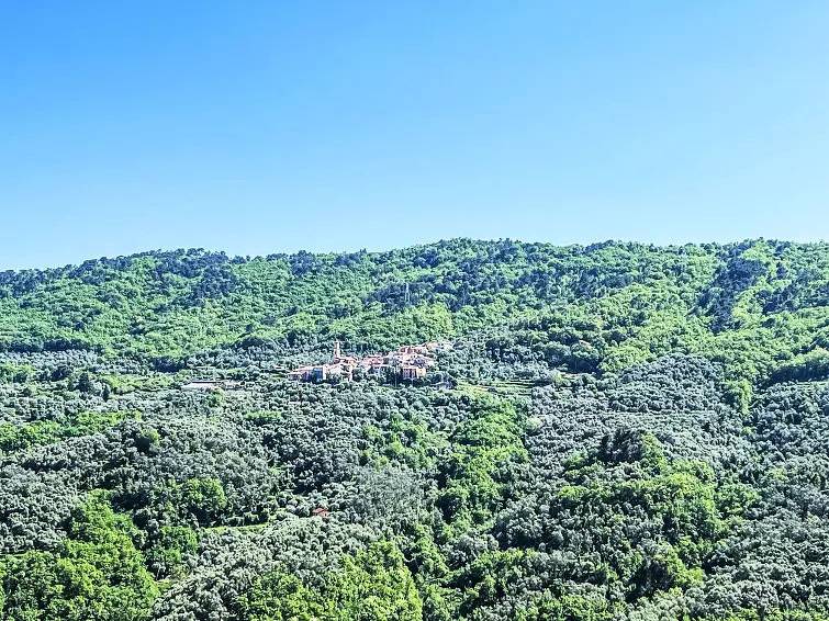 Ganze Wohnung, Charmante Wohnung in der Nähe des Stadtzentrums mit Parkplatz und Balkon in Pietrabruna, Riviera di Ponente