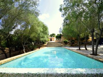 780534 Son Siliano in Manacor, Mallorca Osten für 11 