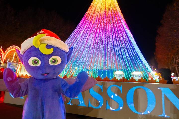 Location de vacances pour 3 personnes, avec jacuzzi et jardin à Villemoustaussou - 3