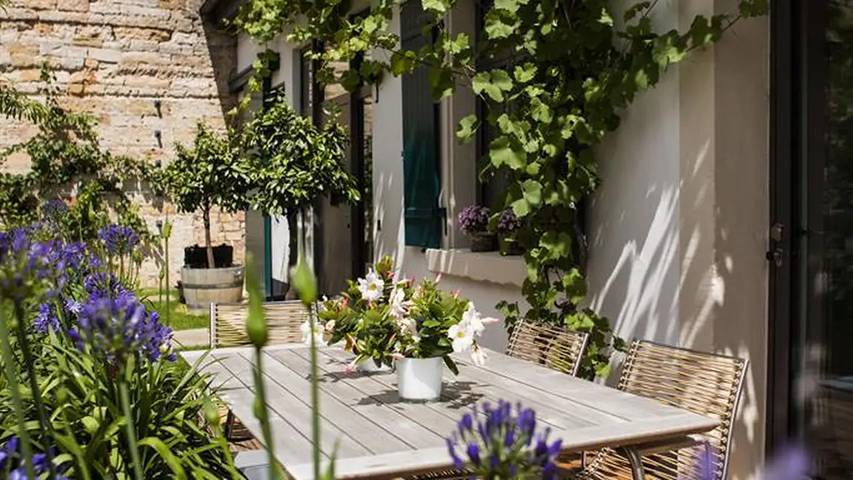 Ferienwohnung für 3 Personen, mit Garten und Terrasse in Neustadt an der Weinstraße - 3
