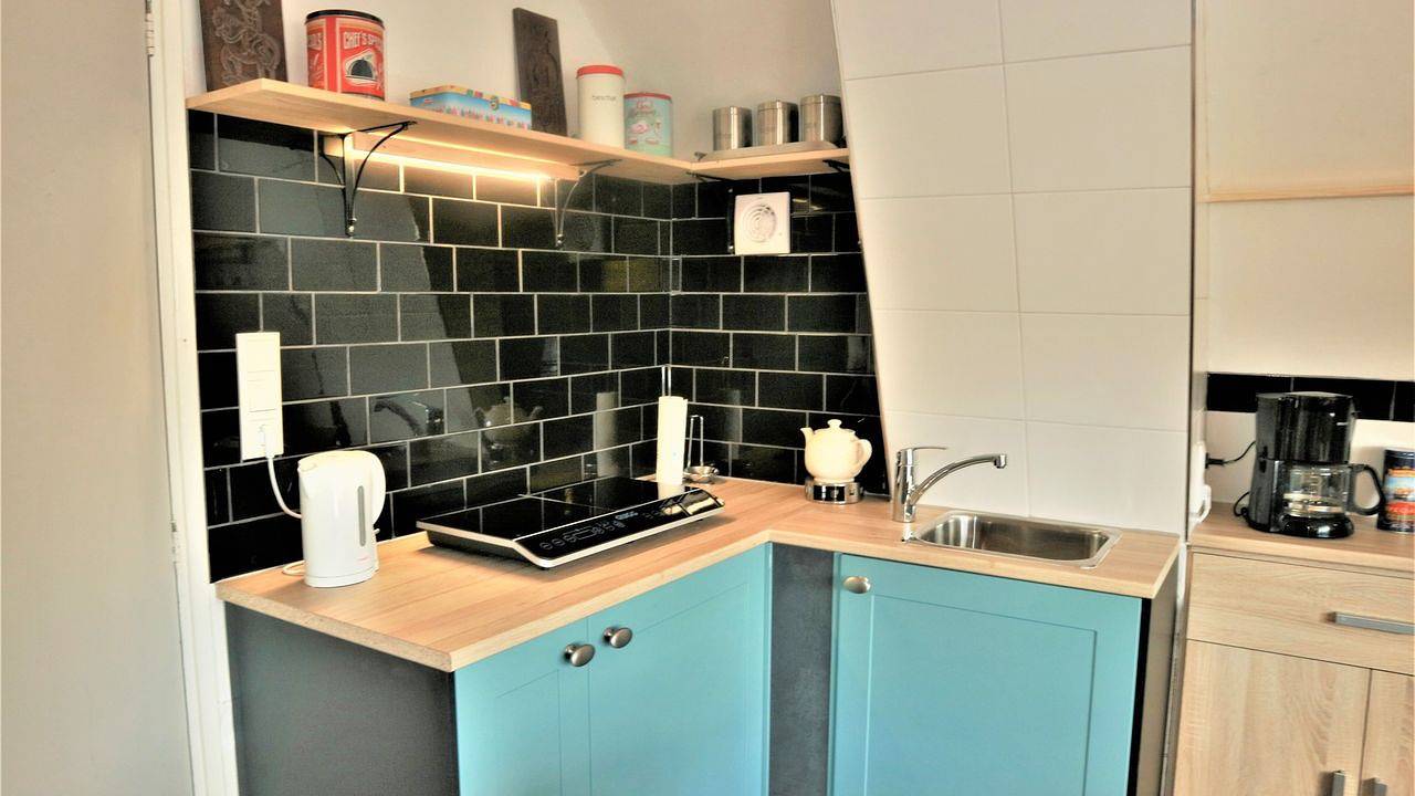 Ganze Ferienwohnung, Ferienwohnung für 3 Personen (50 m²) in Giethoorn in Giethoorn, Nationalpark Weerribben-Wieden