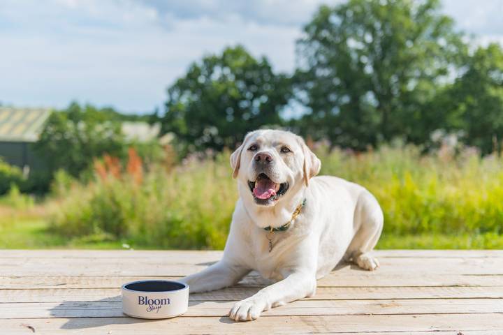 Hütte für 2 Personen in Kent - 4