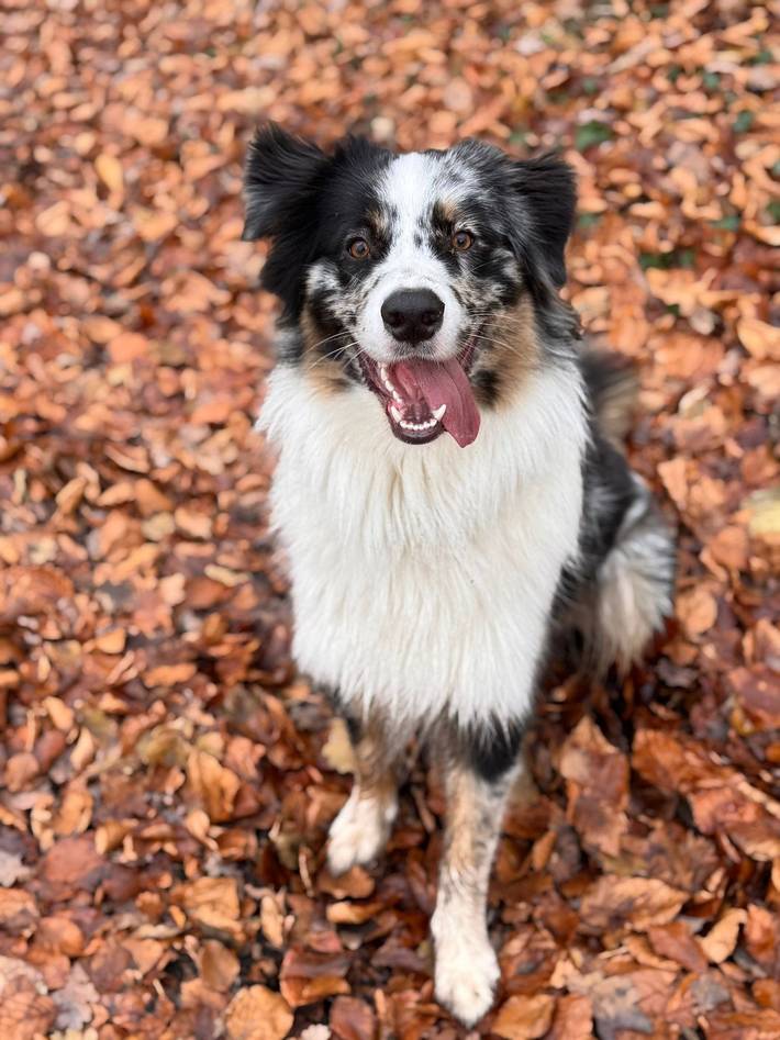 Ferienhaus für 4 Personen, mit Garten und Terrasse, kinderfreundlich in Nordrhein-Westfalen - 3