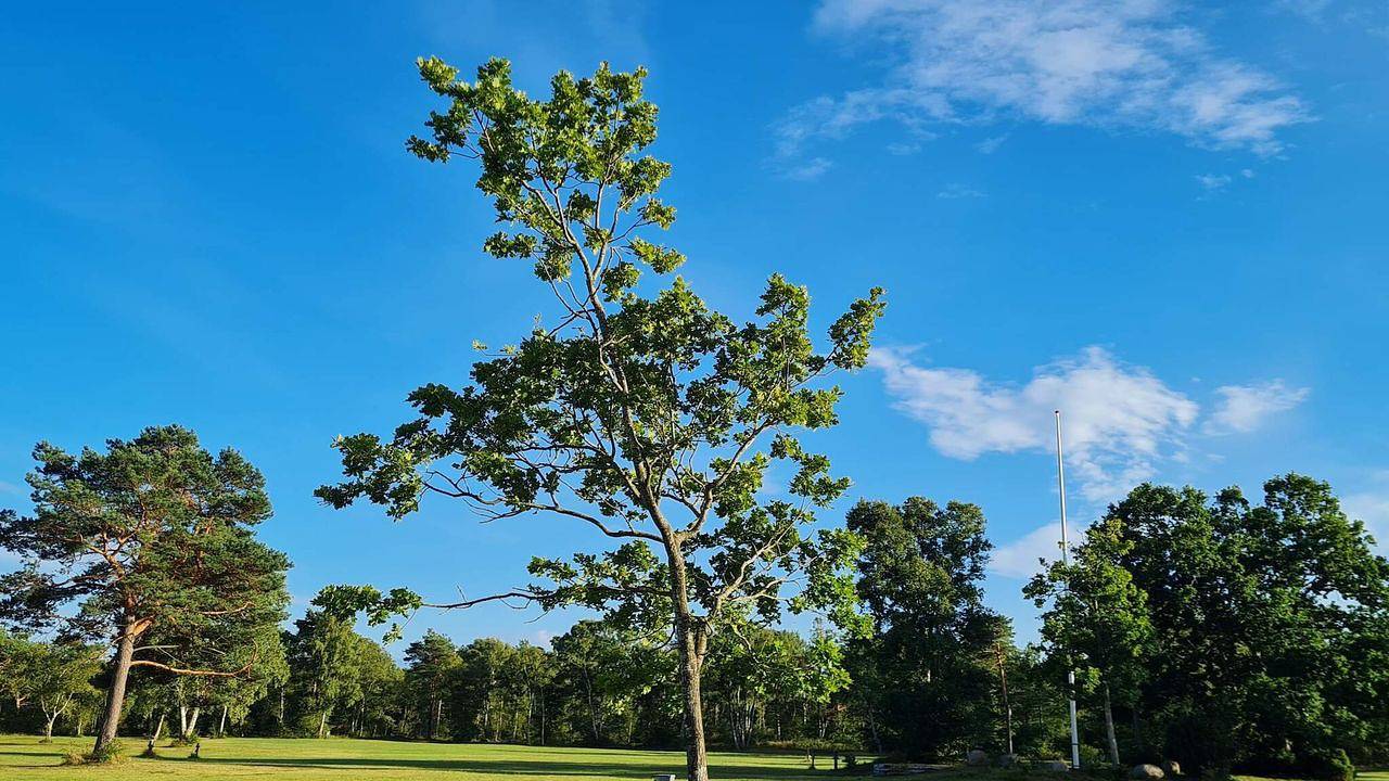 Ferienhaus für 6 Personen (97 m²) in Hadsund in Als Odde, Hadsund