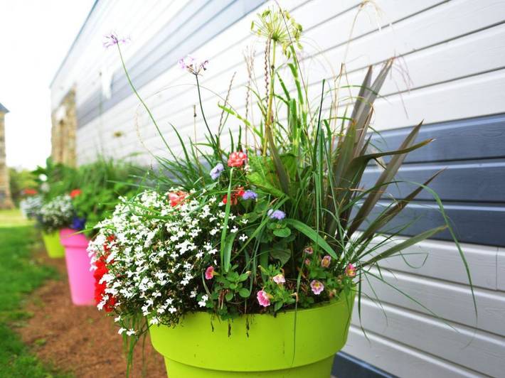 Gîte pour 4 personnes, avec piscine ainsi que jardin et terrasse, animaux acceptés à Pleudaniel - 2