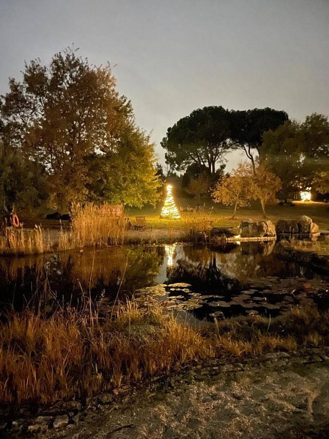 Maison de campagne pour 6 personnes, avec vue et vue sur le lac ainsi que piscine et jardin, animaux acceptés à Seia - 3