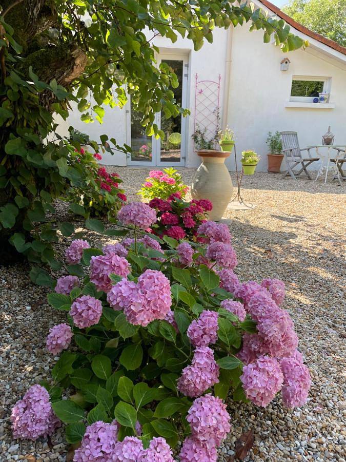 Gîte pour 2 personnes, avec vue et jardin à Corme-Écluse - 4