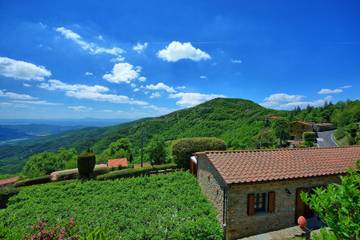 Villa for 4 People in Portole, Arezzo Province, Photo 4