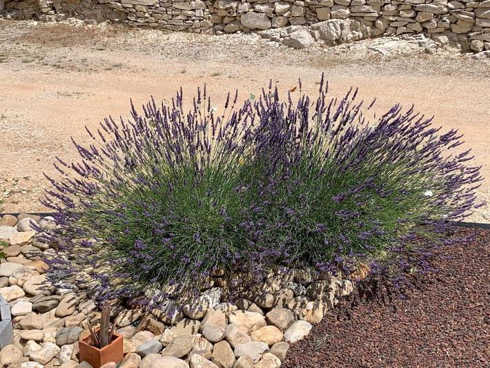 Location de vacances pour 2 personnes, avec vue et jardin à Saint-Jean-de-Maruéjols-et-Avéjan - 3